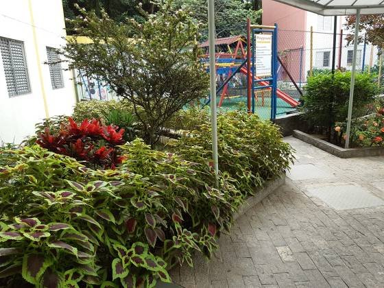 Apartamento - Venda - Pirituba - São Paulo - SP